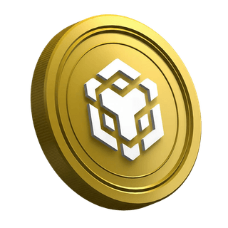 Kryptowaluta Binance BNB w formie monety na stronie przewodnika dla nowych traderów